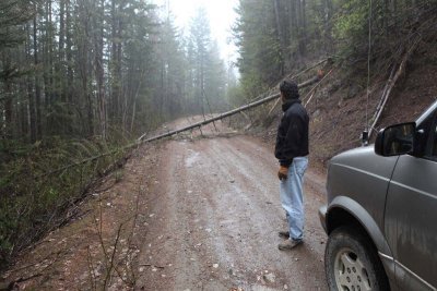 Small tree down on Gold Creek Road.