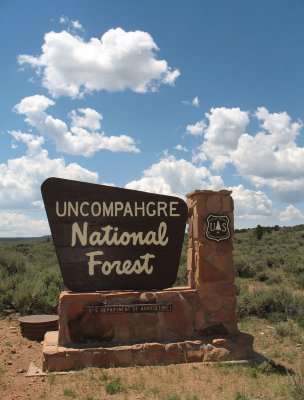 We saw lots of new (to us) National Forests in our travels on this trip.