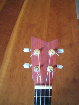 Arch Top
