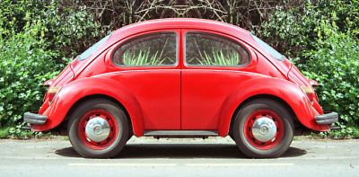 The new beetle