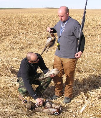 Checking out the kills