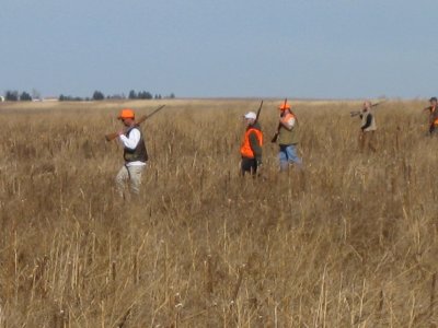 The group in the field