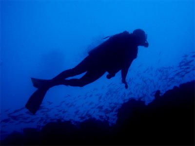 Susan over the reef