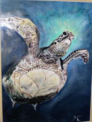 Cozumel Turtle