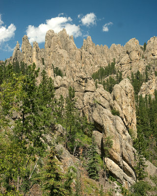 _DSC0223.jpg
