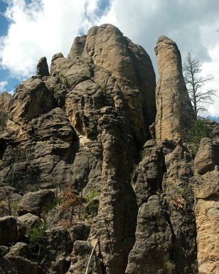 _DSC0225.jpg