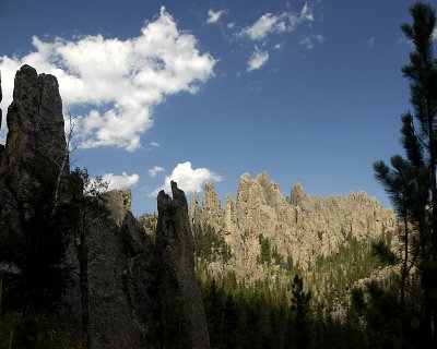 _DSC0230.jpg