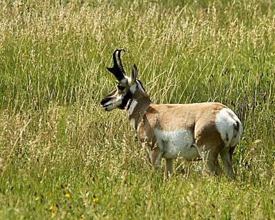 _DSC0180.jpg