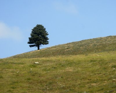 _DSC0181.jpg