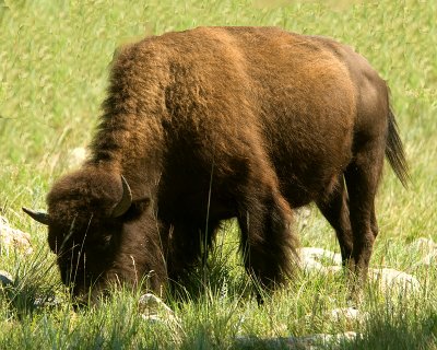 _DSC0198.jpg