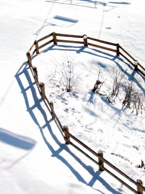 Swiss Fence