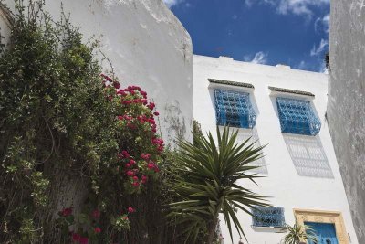 Sidi Bou Said