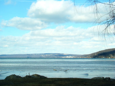 Can you see the gulls on the ice?