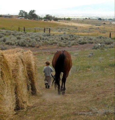 boy and horse large.JPG