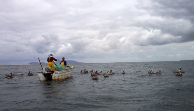 Bahia Magdalena