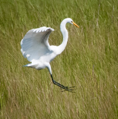 Quogue Wetlands Preserve