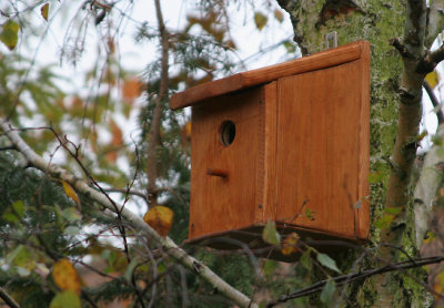 Birdhouse