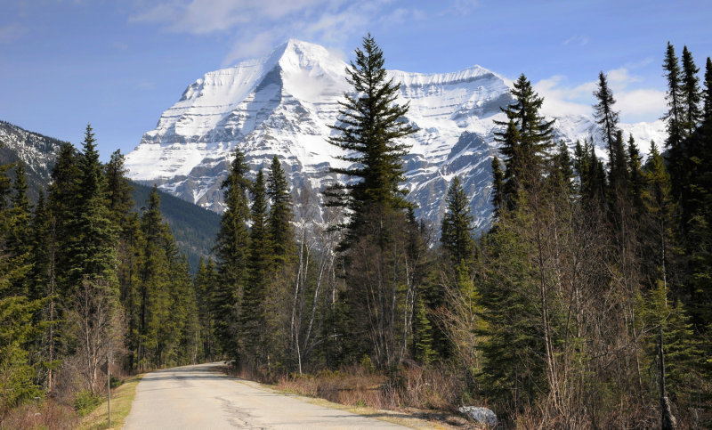 Mt Robson