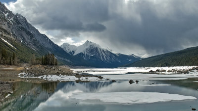 Medicine Lake brooding