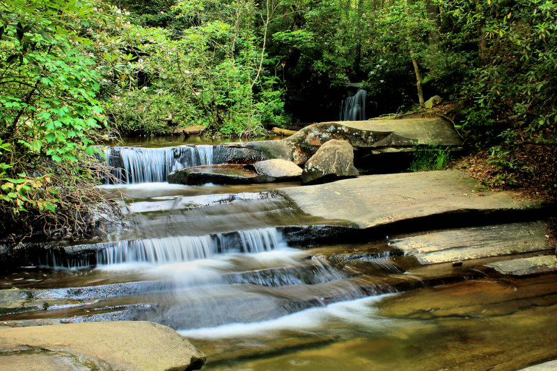 Trail To Mill Creek Falls, This Carrick Creek 