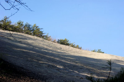 Part Of Stone Mt. Nerve Been to before (Stone Mt. NC.)