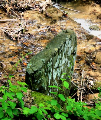 Unique.    A Unique Rock In The Creek