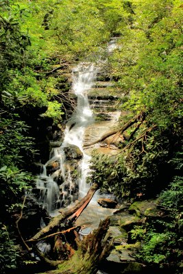  Mill Creek Falls