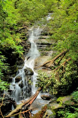  Mill Creek Falls