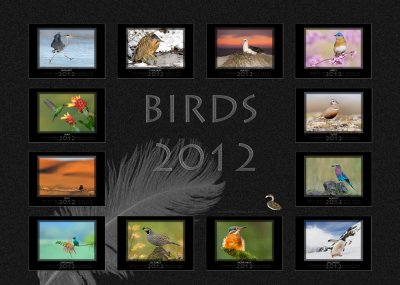 Birds 2012 Calendar