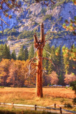 470_tonemappedyosemite.JPG