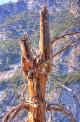481_2_3_tonemappedyosemite.JPG