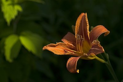g4/21/102121/3/65334728.4Qeo9x10.jpg