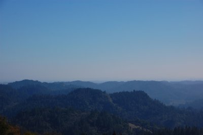 Armstrong Wood 2-2011