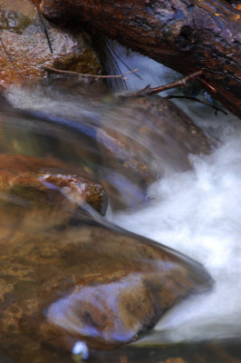 Bear Valley Trail Creek.jpg