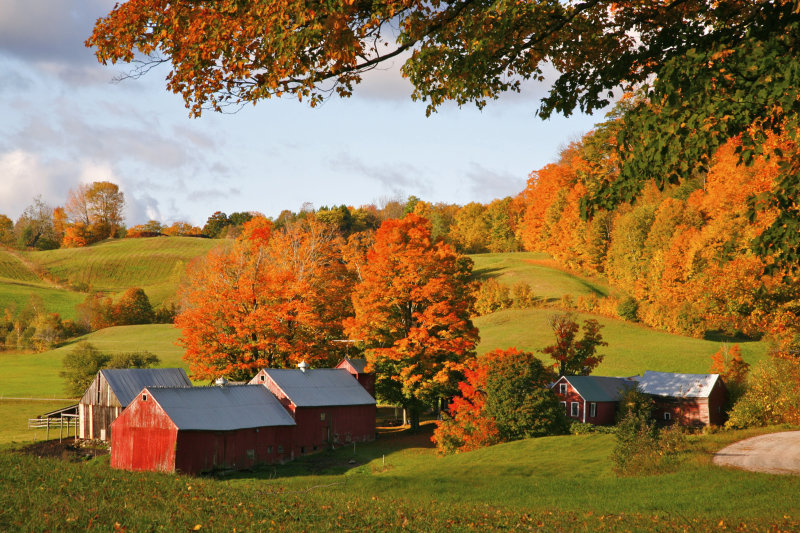 autumn morning,jenne farm