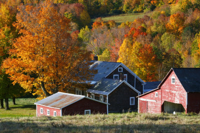 october morning