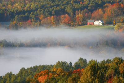 morning house