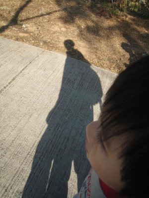 12_1_08_77.jpg