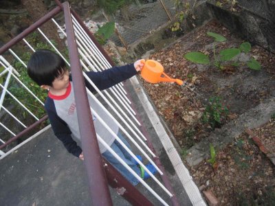 12_1_08_87.jpg