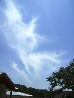 Sorry, but I like clouds, too and this one reminded me of an whispy angel flying about.