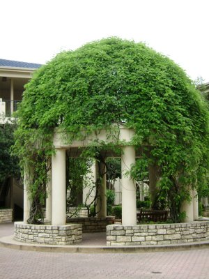 I LOVED this beautiful gazebo that was in the center of the open courtyard outside our front door area!
