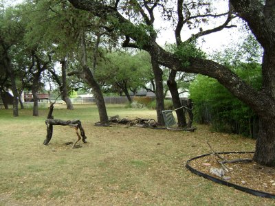 Although it's hard to see in this photo, there's another limb sculpture.  This photo shows the proximity of the two sculptures, the next photo shows a close-up of the hunter, who is taking aim as it stands next to the middle tree that's to the right of the deer.