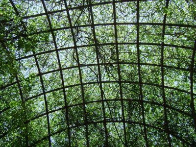 Looking up from the inside at the canopy over the beautiful gazebo in the courtyard near our unit.