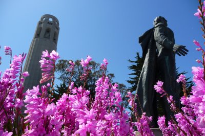 May 21, 2011. Coit Tower, Christopher Columbus and beautiful pinks. Telegraph Hill, San Francisco.JPG