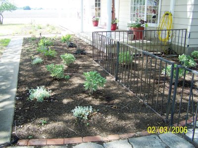 New Front Landscaping 016.JPG