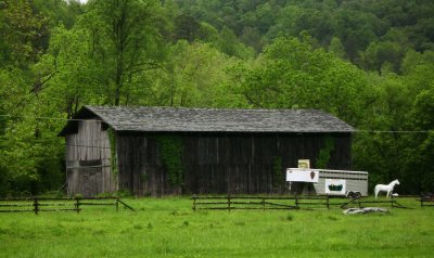 Tennessee Vacation - May 2012 054.JPG