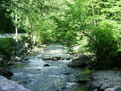 Great Smokey Mountain National Park (GSMNP)