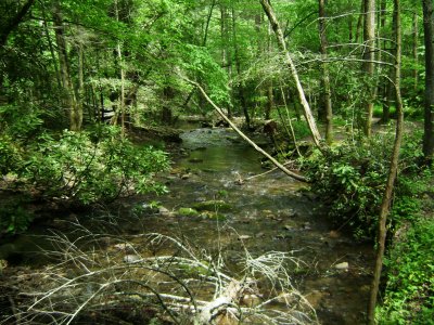 TN Vacation 127.jpg