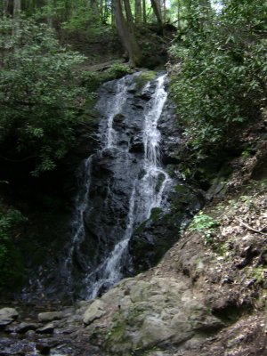 TN Vacation 134.jpg