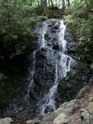 TN Vacation 137.jpg